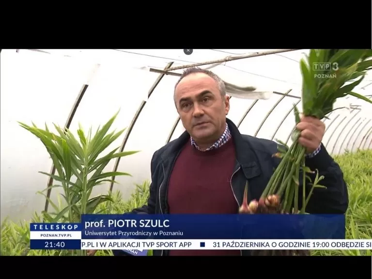 tvp-zdj-3.jpg