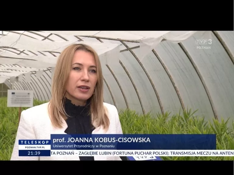 tvp-zdj-4.jpg