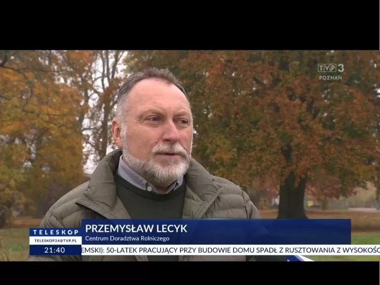 tvp-zdj-6.jpg